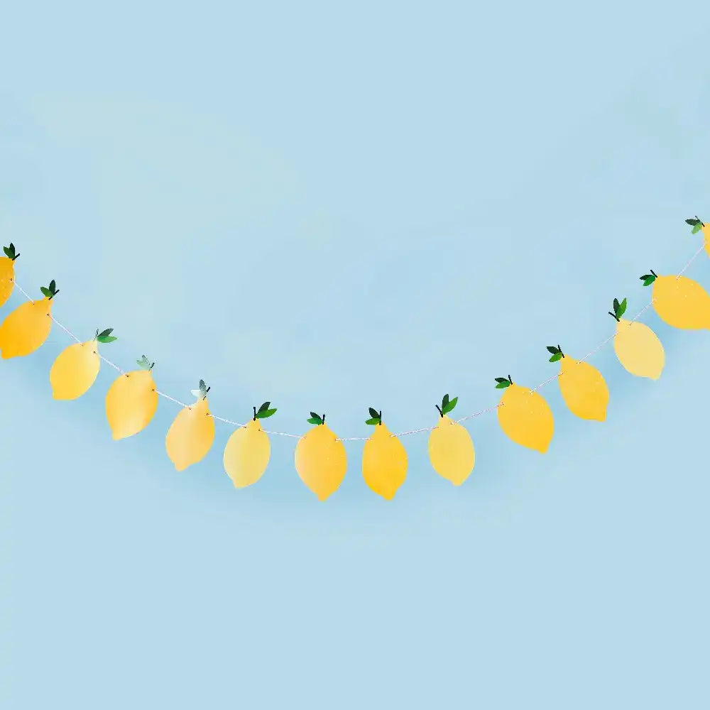 Lemon Decorative Garland (2.5m) Summer