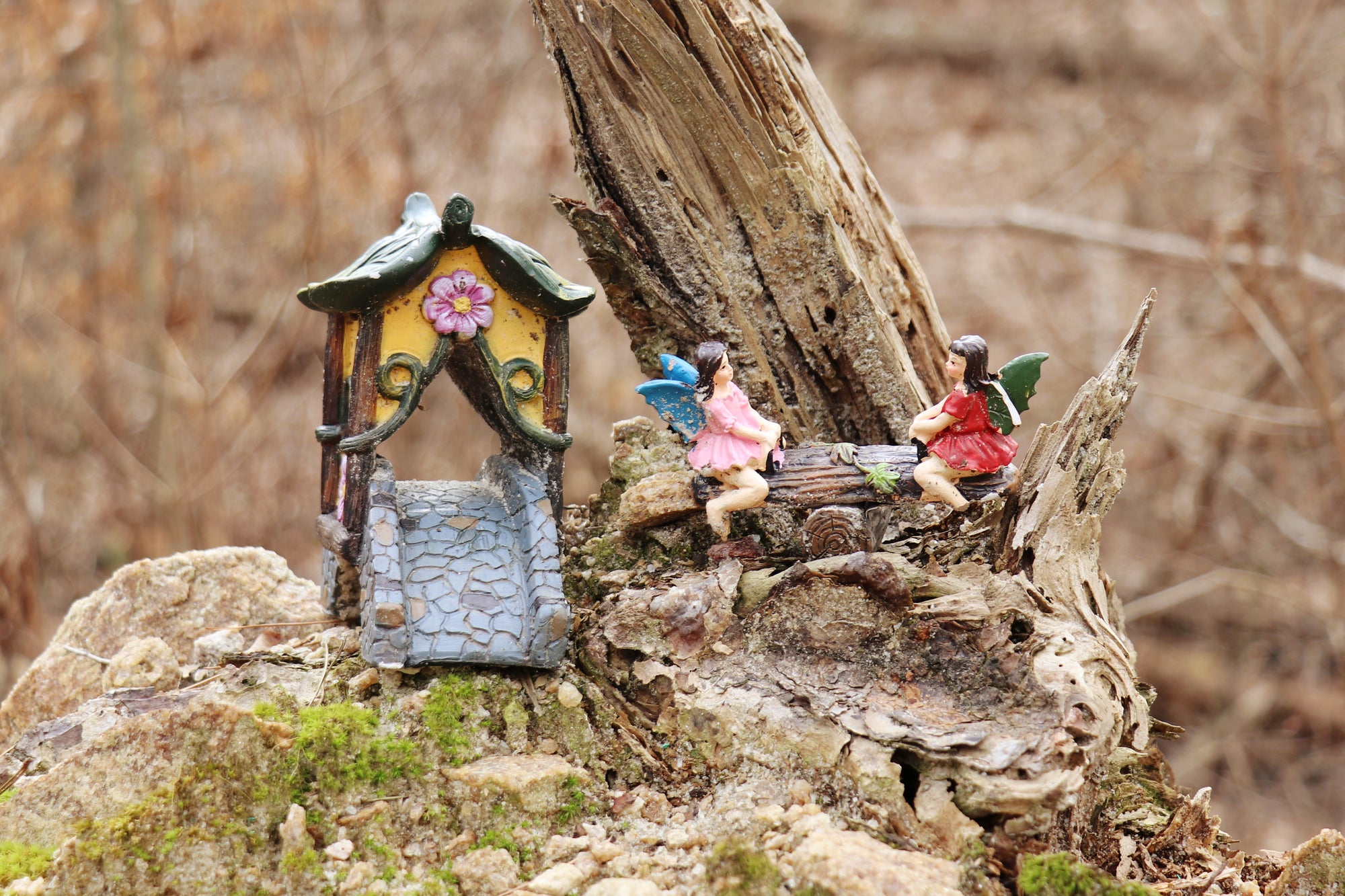Miniature fairy house with two fairies on a tree stump in a natural setting