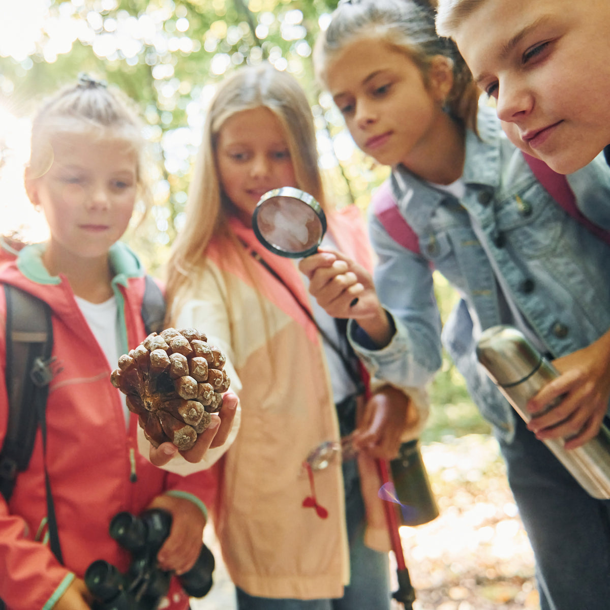Four children outdoors, examining a pinecone with a magnifying glass.