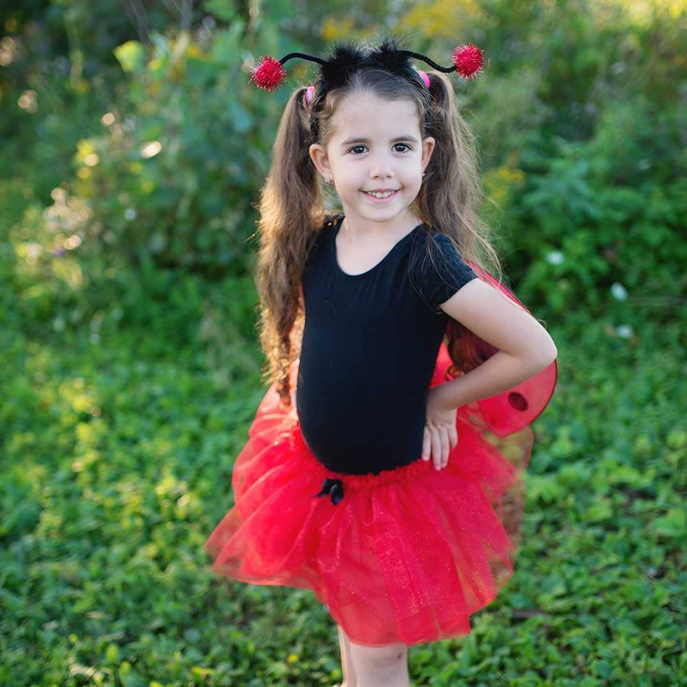 Kids Glitter Ladybug Set | Fancy Dress