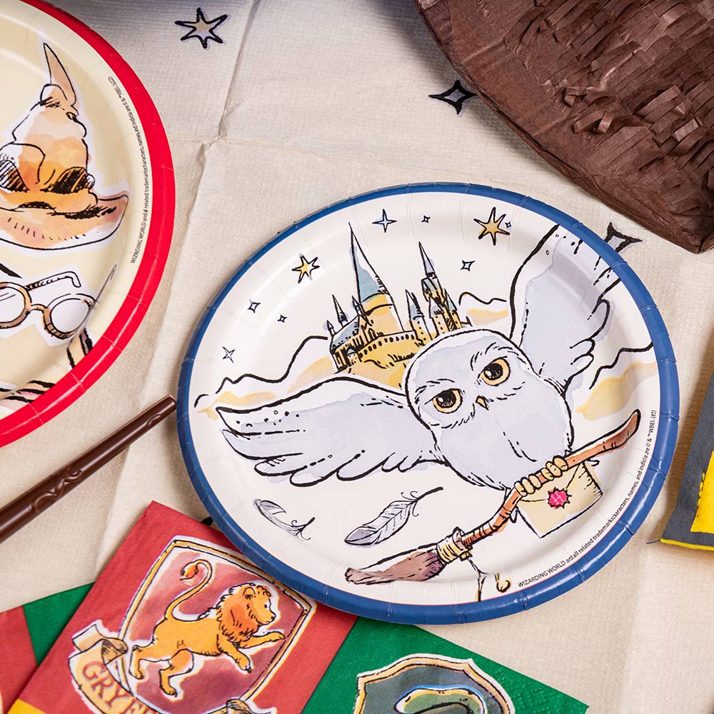 Harry Potter Small Party Plates (x8)
