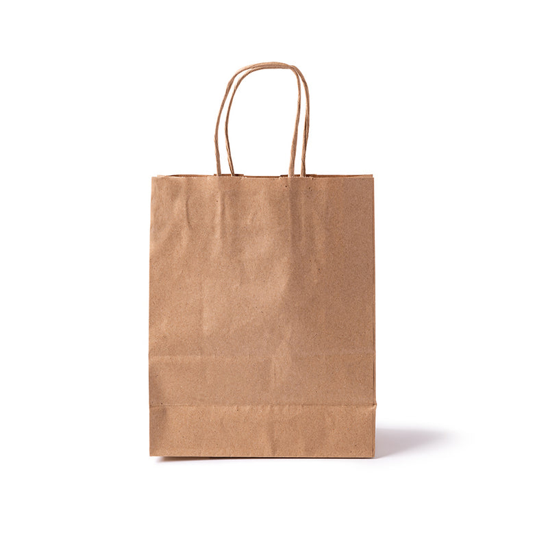 Recycled Kraft Paper Bag (x12)