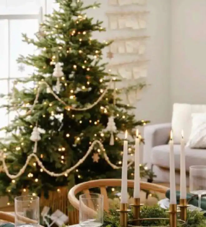 Botanical Christmas - Party Pieces