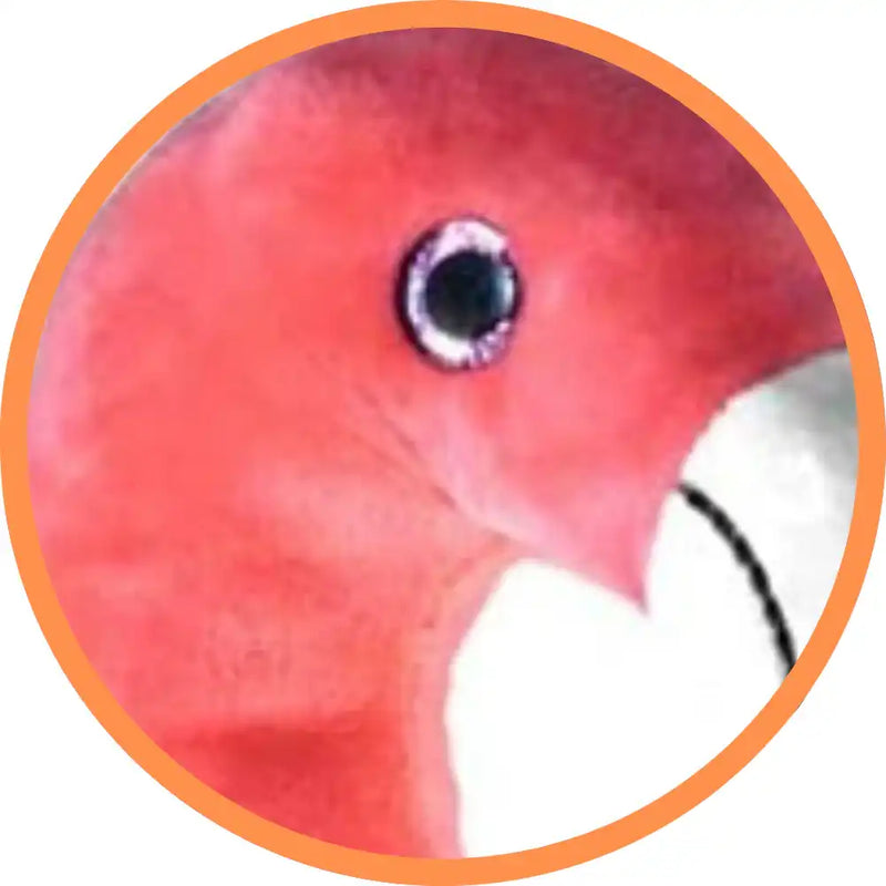 Make a Bear - Fabio The Flamingo Make a Bear