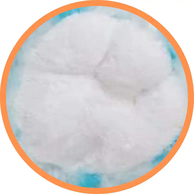 Make a Bear - Bluey The Spotted Dog - Recordable Make a Bear