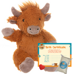 Make a Bear - Hippie The Highland Cow