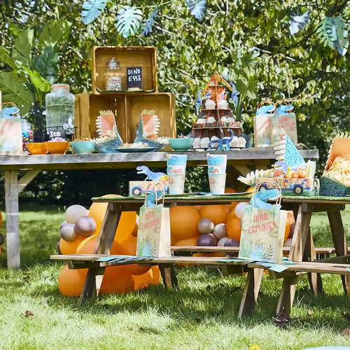 Dinosaur Party Supplies & Decorations