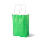Green Party Bags with Handles (x12)