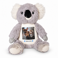 Add your Photo Personalised Koala Teddy