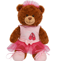 Pink Ballerina Dress Teddy Bear Outfit