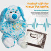 Make a Bear - Bluey The Spotted Dog - Recordable Make a Bear
