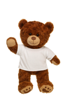White T-Shirt Teddy Bear Outfit Make a Bear