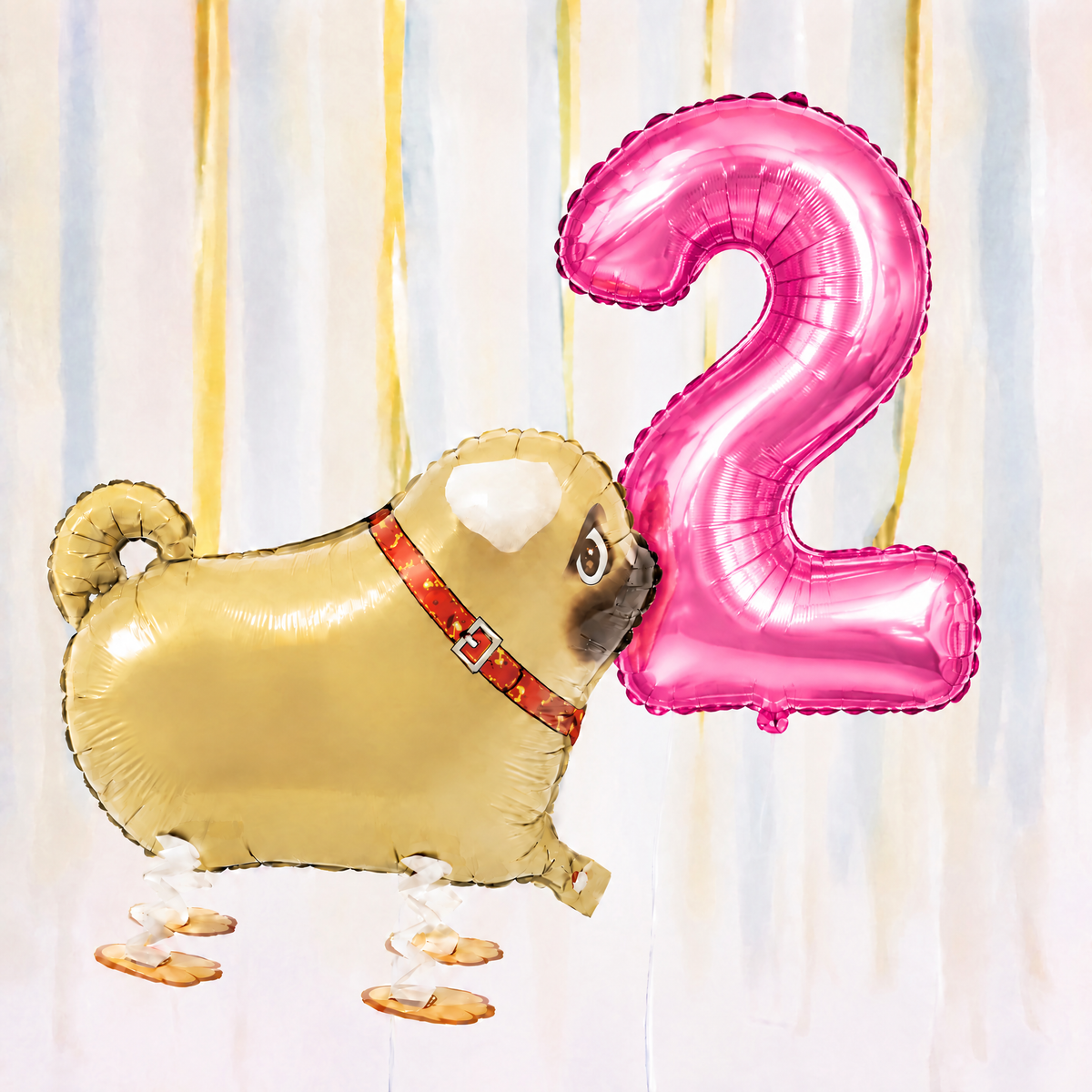 Pug Walking Balloon & Number Balloon Bunch (Choose 1–9 in Pink or Blue)