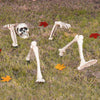 Halloween Garden Skeleton Halloween 2024