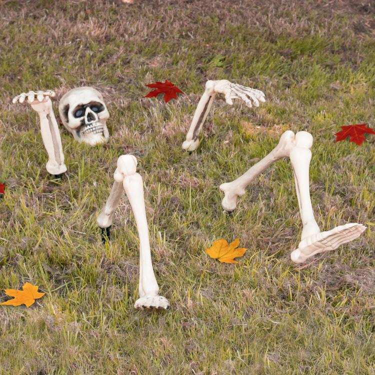 Halloween Garden Skeleton Halloween 2024