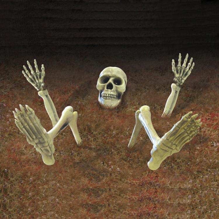 Halloween Garden Skeleton Halloween 2024