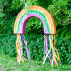 Rainbow Pinata Kids Party