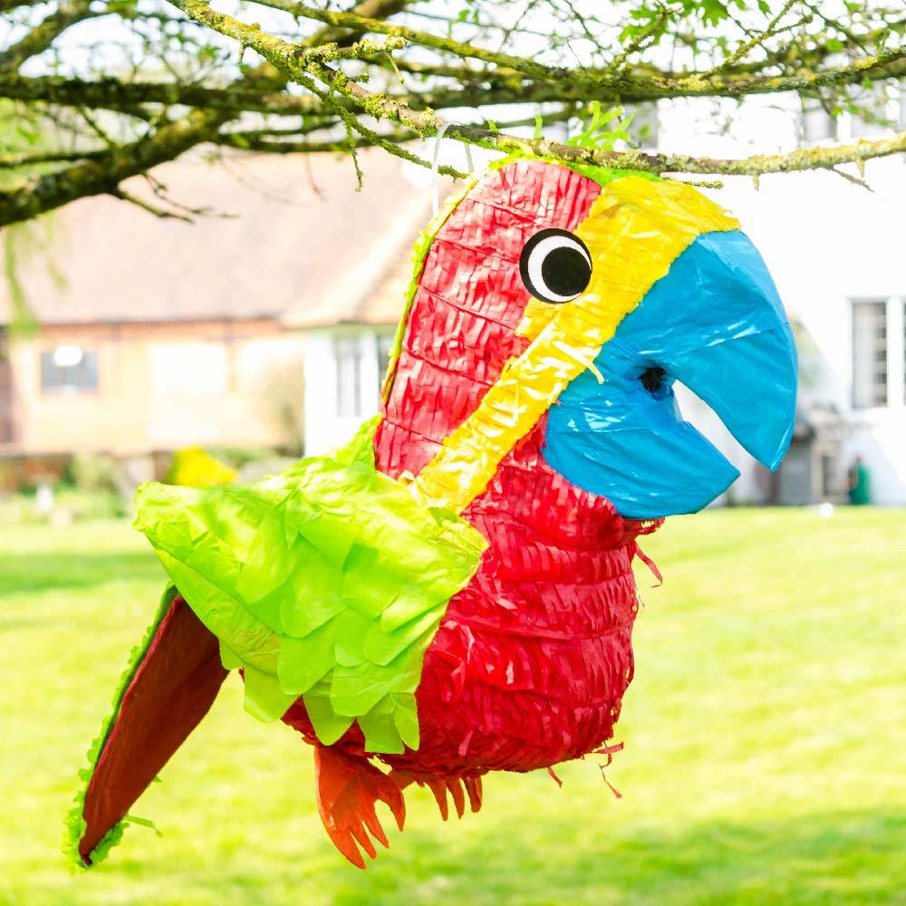 Parrot Pinata Kids Party