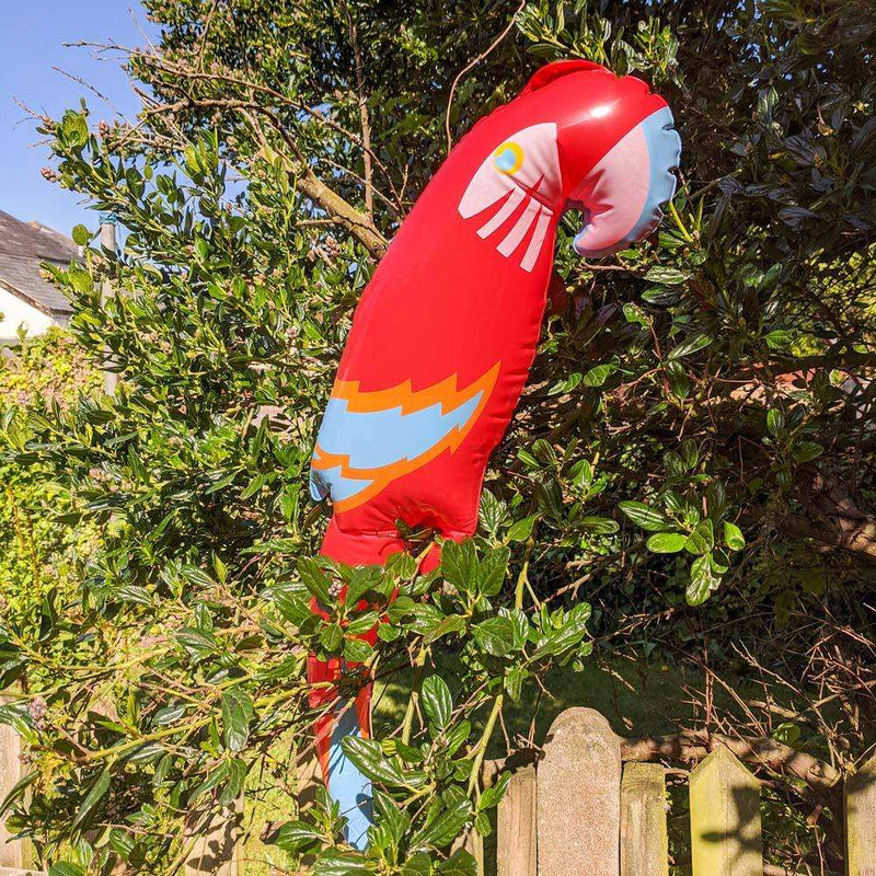 Inflatable Parrot Sale