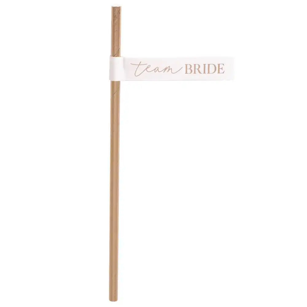 Blush Hen 'Team Bride' Flag Paper Straws (x16) Hen Party