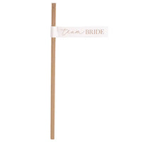 Blush Hen 'Team Bride' Flag Paper Straws (x16) Hen Party