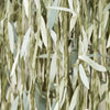Botanical Leaf Ribbon Backdrop General Party