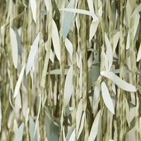 Botanical Leaf Ribbon Backdrop General Party