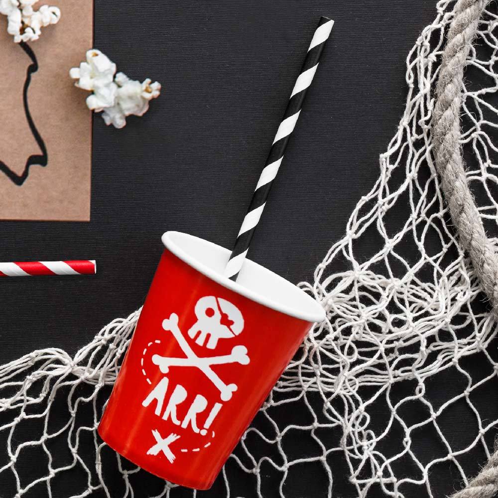 Striped Paper Straws - Black (x10) General Party