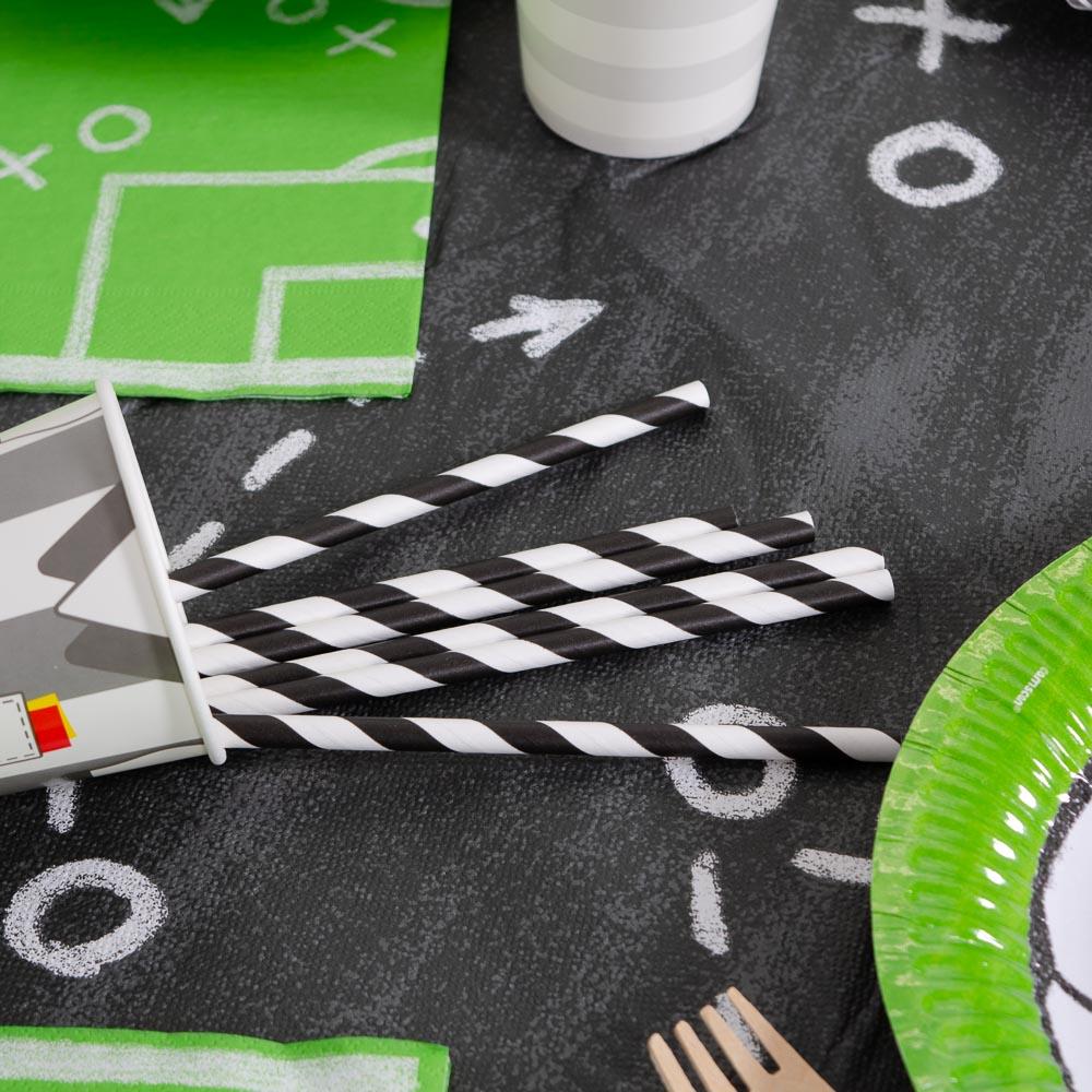 Striped Paper Straws - Black (x10) General Party