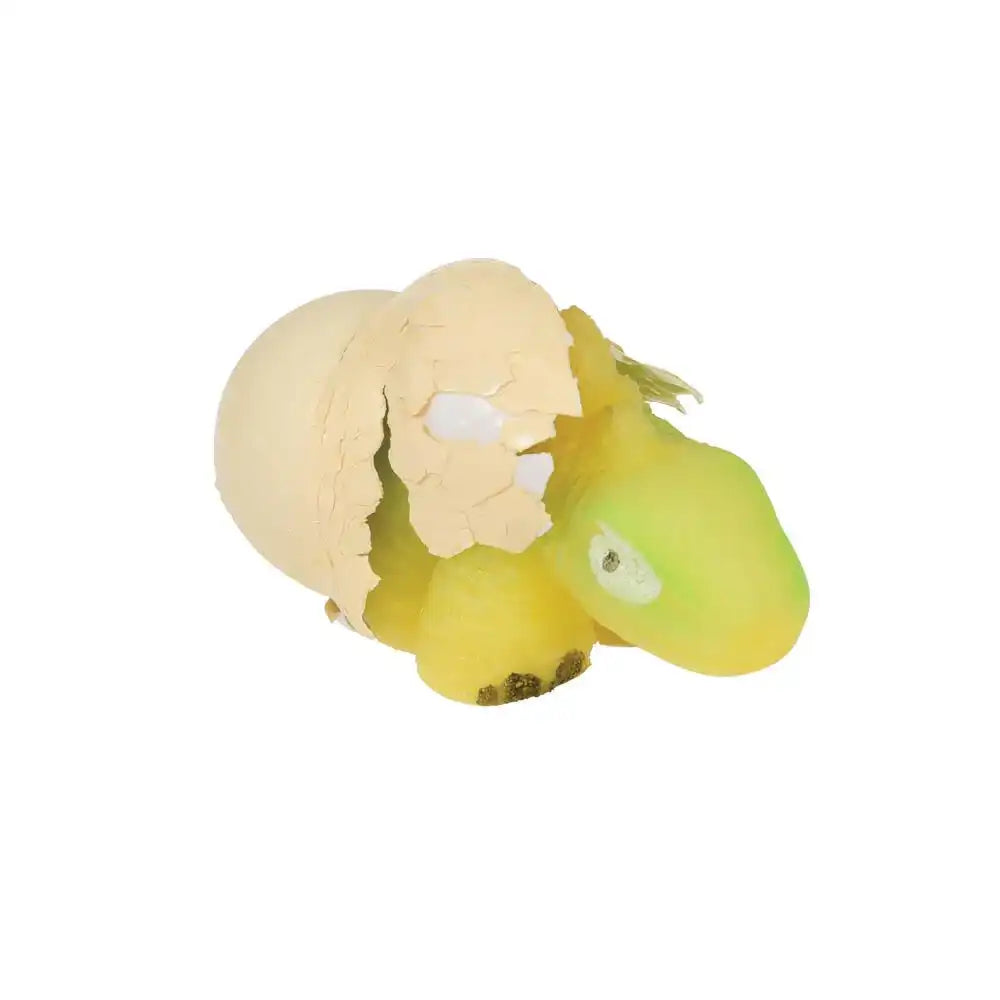 Hatch Your Own Dinosaur Egg Kids Party