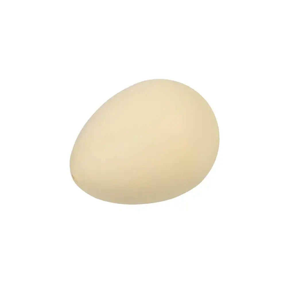 Hatch Your Own Dinosaur Egg Kids Party