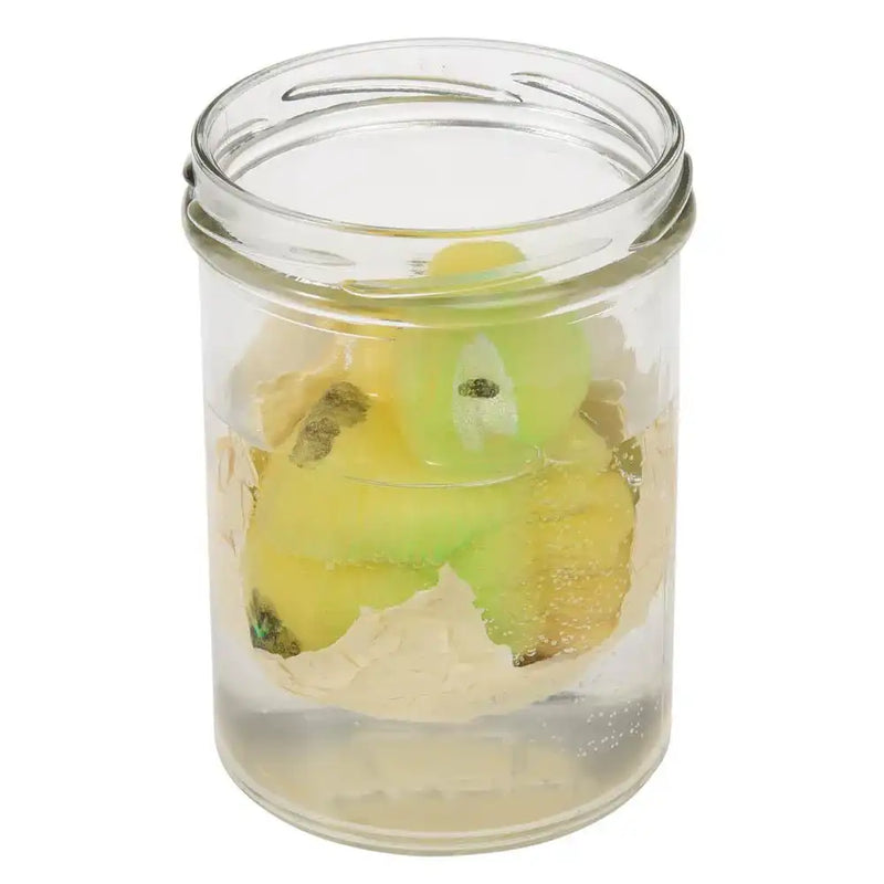 Hatch Your Own Dinosaur Egg Kids Party