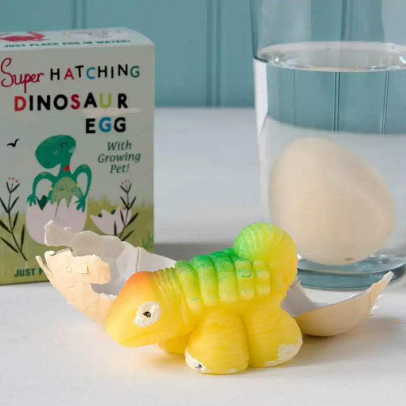 Hatch Your Own Dinosaur Egg Kids Party