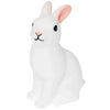 Rabbit Night Light Kids Party
