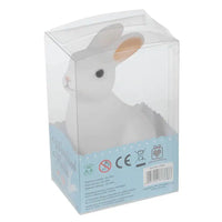 Rabbit Night Light Kids Party