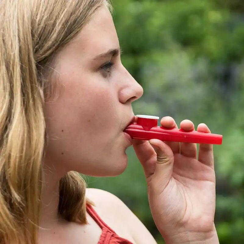 Kazoo Kids Party
