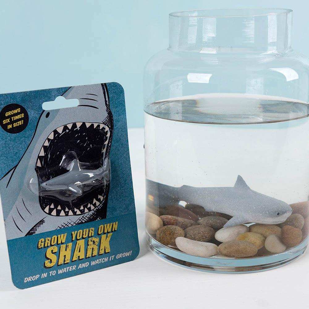 Grow Your Own Shark Kids Party