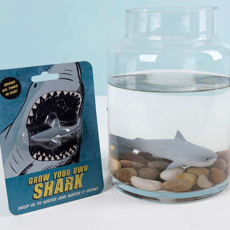Grow Your Own Shark Kids Party