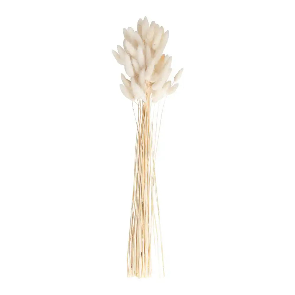 Bunny Tails - Off White Summer