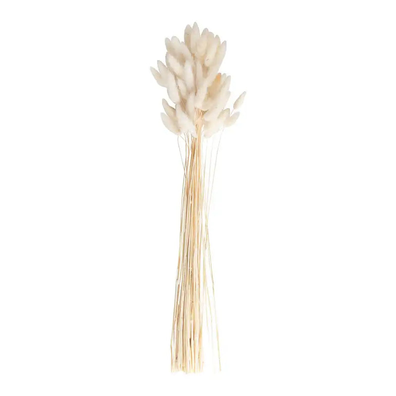 Bunny Tails - Off White Summer