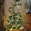 Green Foliage String Lights (2m) General Party