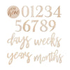 Milestone Mix and Match Wooden Signs Baby Shower