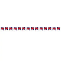 Union Jack Pennant Banner (2.7m) Best of British