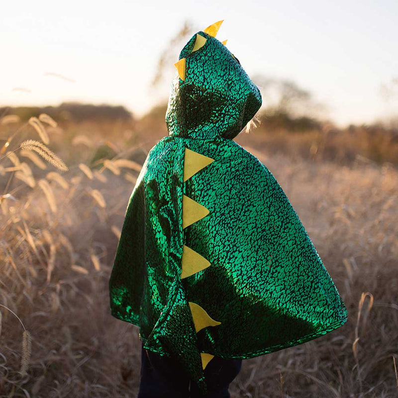 Kids Reversible Dragon/Knight Cape