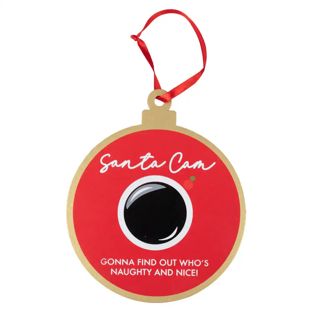 Santa Cam Hanging Decoration Christmas 2024