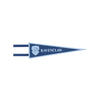 Harry Potter Fabric Pennants (x4) Kids Party