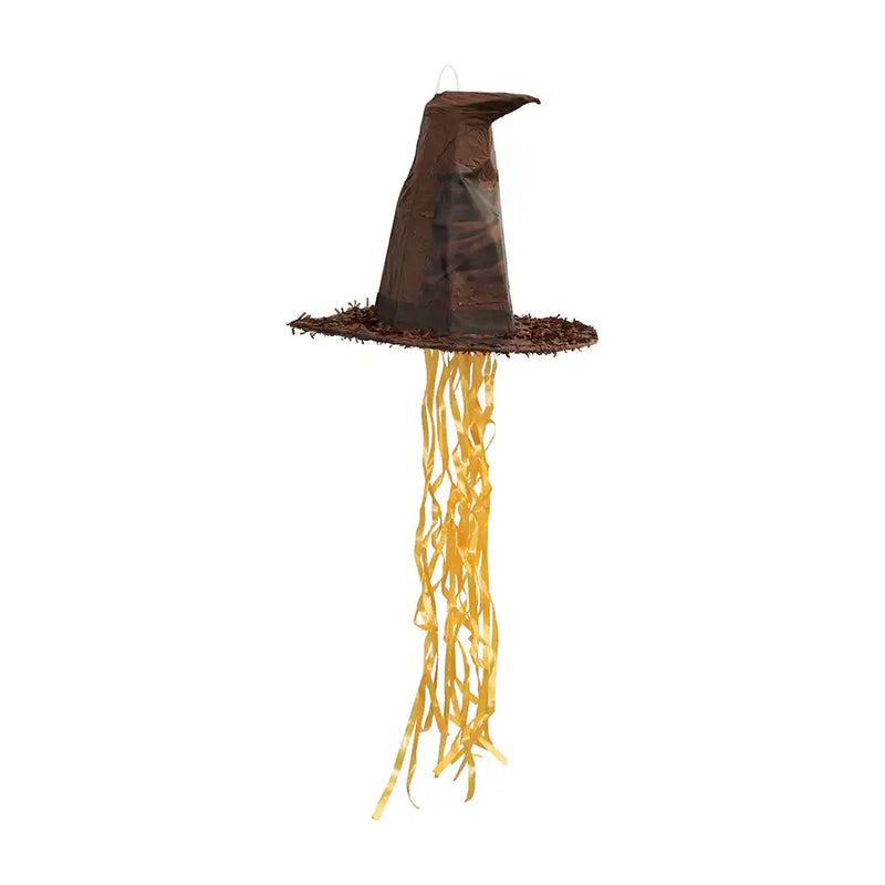 Harry Potter Sorting Hat Pinata Kids Party
