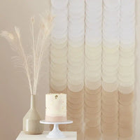 Paper Disc Backdrop - Neutral Ombre General Party