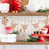 Rudolph Reindeer & Balls Banner Set Christmas 2024