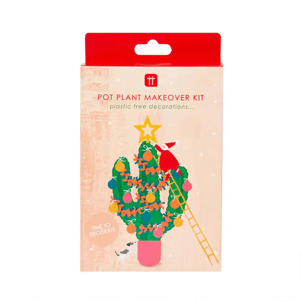 Pot Plant Makeover Kit Christmas 2024